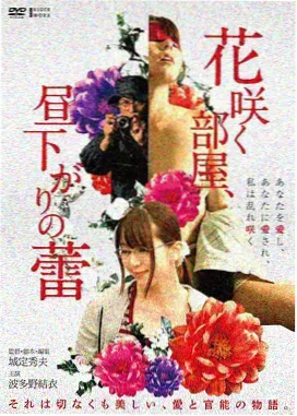 二区影片条目样本